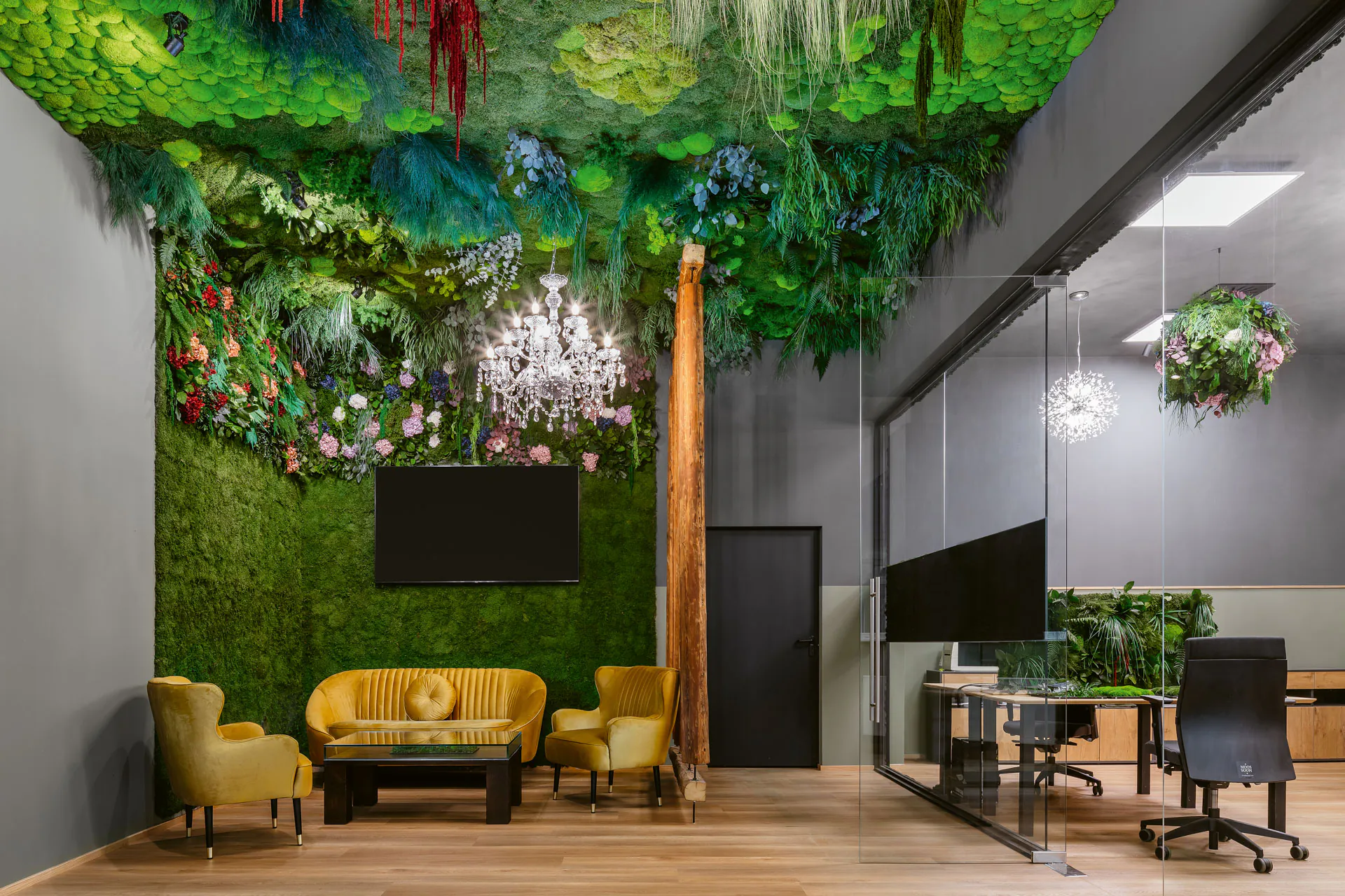 Hanging Garden Büro Empfang Gründach — Deckenbegrünung von MOOSMOOS